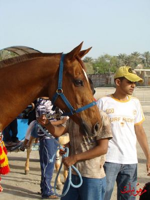 مهرجان يوم اليتيم العالمي الثاني
