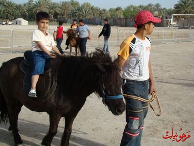 مهرجان يوم اليتيم العالمي الثاني
