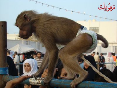 مهرجان يوم اليتيم العالمي الثاني
