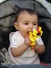 Filename=DSC02942.jpg
Filesize=132KiB
Dimensions=800x1067
Date added=Jan 28, 2010 DSC02942.jpg
