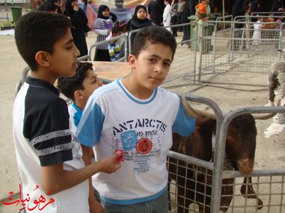 مهرجان يوم اليتيم العالمي الثالث
