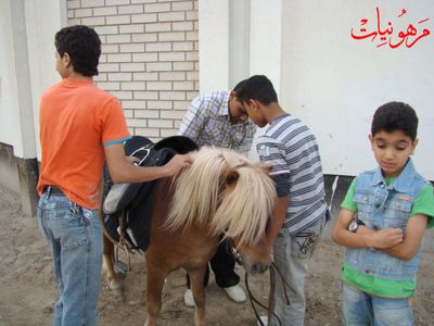 مهرجان يوم اليتيم العالمي الثالث
