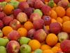 DSC08851.jpg