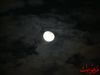 DSC02313.jpg