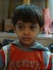 Filename=DSC02336.jpg
Filesize=170KiB
Dimensions=480x640
Date added=Jan 29, 2010 DSC02336.jpg