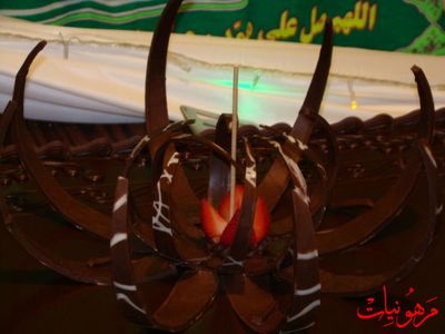 مأتم أنصار الحسين ع - مولد الإمام الحجة عج 1431 هـ
