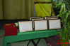 Filename=DSC_0028.jpg
Filesize=260KiB
Dimensions=640x426
Date added=Oct 24, 2013 DSC_0028.jpg