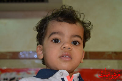 DSC_0198.jpg