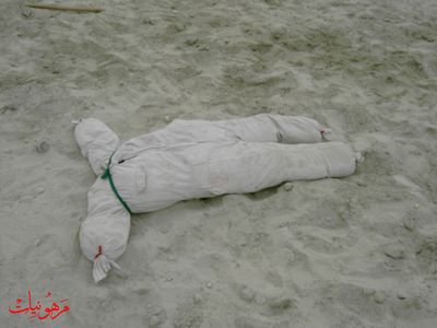 PICT0004.jpg