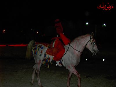 PICT0026.jpg