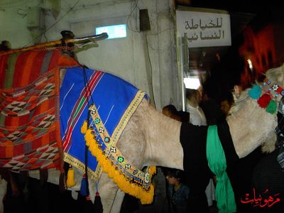 PICT0150.jpg