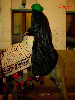 PICT0101.jpg