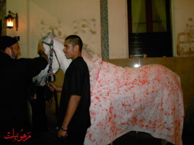 PICT0395.jpg
