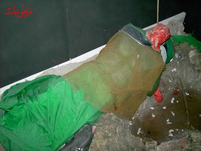 PICT0516.jpg