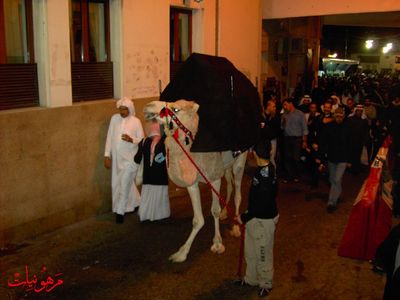 PICT0423.jpg