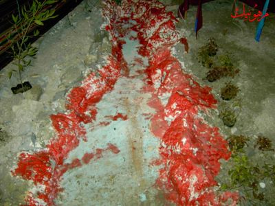 PICT0483.jpg
