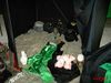 PICT0477.jpg