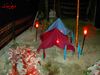 PICT0482.jpg