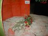 PICT0124.jpg