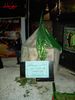 PICT0065.jpg