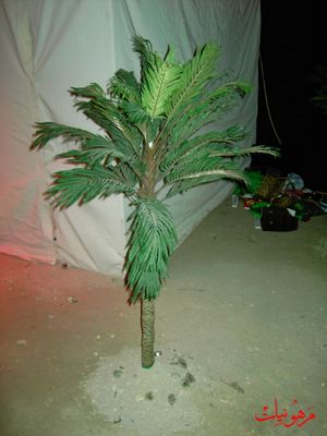 PICT0187.jpg
