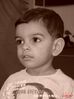 DSC04454.jpg