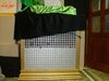 DSC01238.jpg