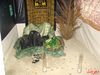 DSC01257.jpg
