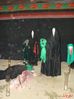 DSC01278.jpg