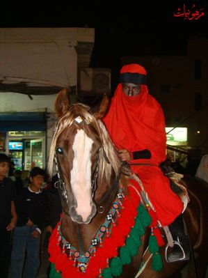 DSC01351.jpg