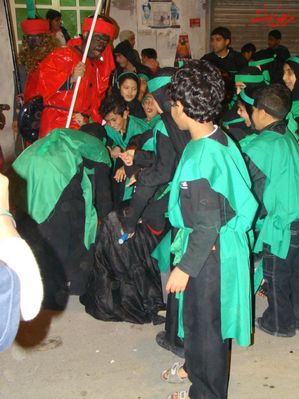 DSC01384.jpg