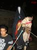DSC01288.jpg