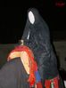 DSC01289.jpg
