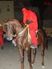 DSC01290.jpg