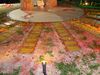 DSC00548.jpg