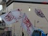 DSC00698.jpg