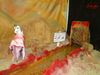 DSC00478.jpg