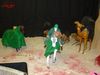 DSC00480.jpg