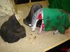 DSC00485.jpg