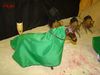 DSC00487.jpg