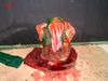 DSC00555.jpg