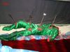 DSC00556.jpg