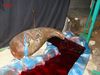 DSC00557.jpg