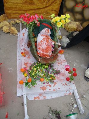 DSC00869.jpg