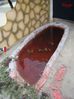DSC00866.jpg
