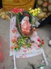 DSC00869.jpg