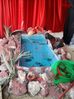 DSC00873.jpg