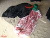 DSC00884.jpg