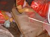 DSC00905.jpg