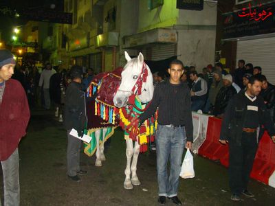 DSC00614.jpg